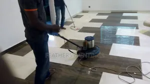 Clean Home and Offices Professional