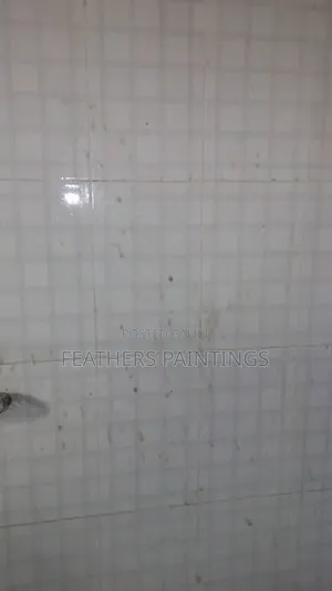 Site and Home Cleaning Services