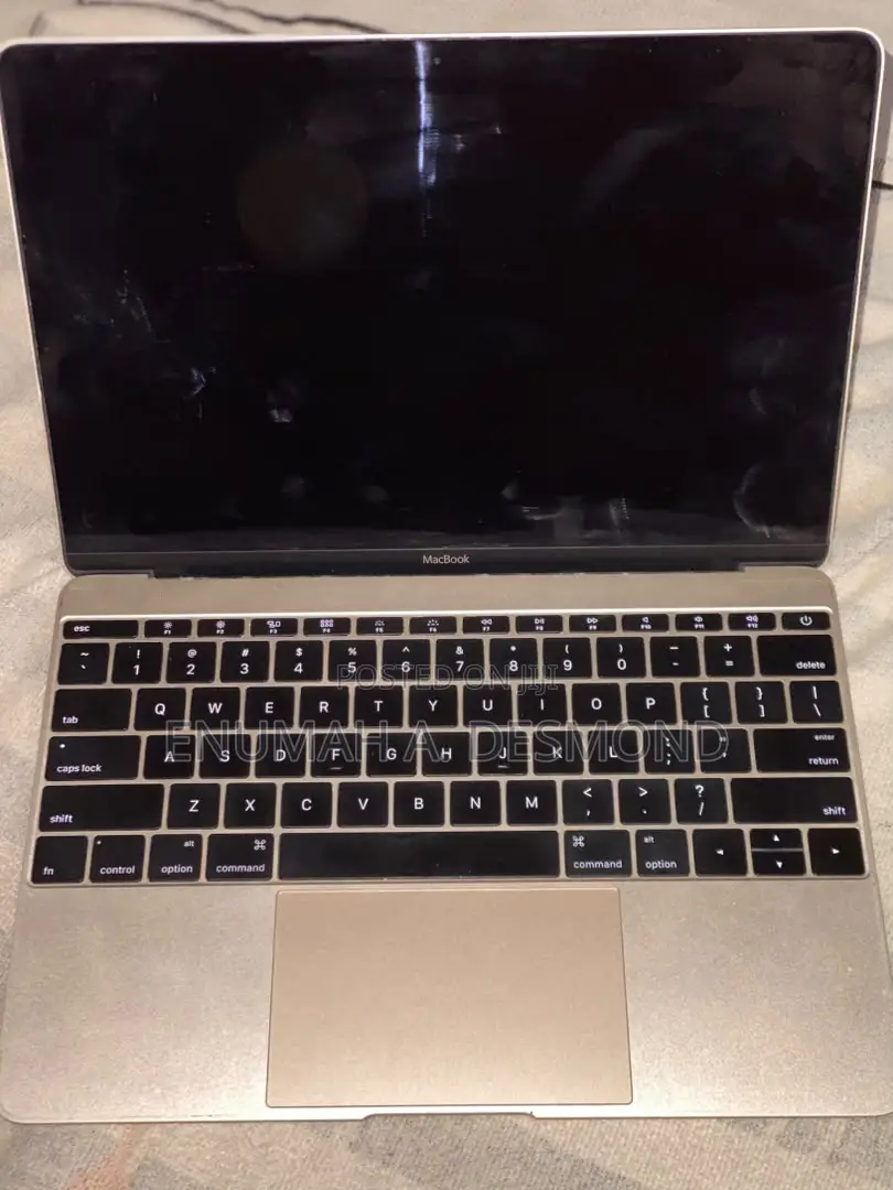 Laptop Apple MacBook 2015 8GB Intel Core M HDD 500GB