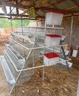 Galvanized Foreign Layers and Broilers Automatic Battery Cages.