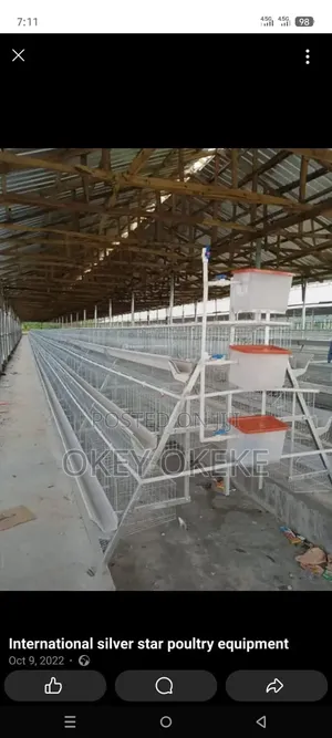 Galvanized Foreign Layers and Broilers Automatic Battery Cages.