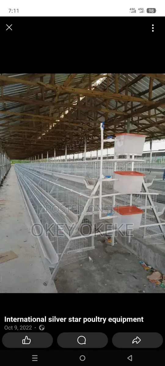 Galvanized Foreign Layers and Broilers Automatic Battery Cages.