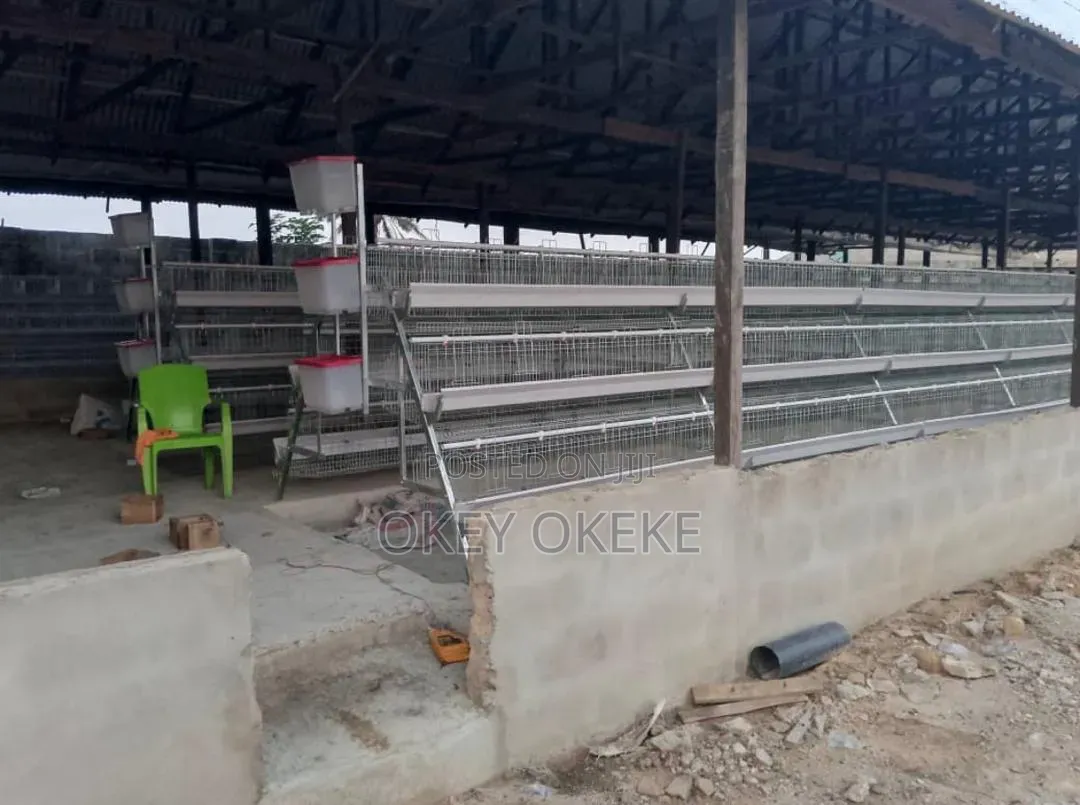 Galvanized Foreign Layers and Broilers Automatic Battery Cages.