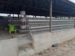 Galvanized Foreign Layers and Broilers Automatic Battery Cages.