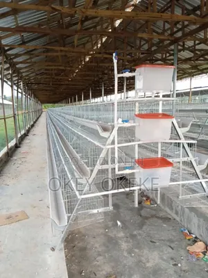 Galvanized Foreign Layers and Broilers Automatic Battery Cages.
