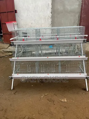 Galvanized Foreign Layers and Broilers Automatic Battery Cages.