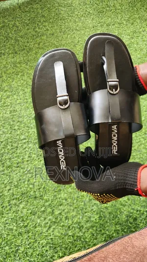 RexNova Baron (Black)