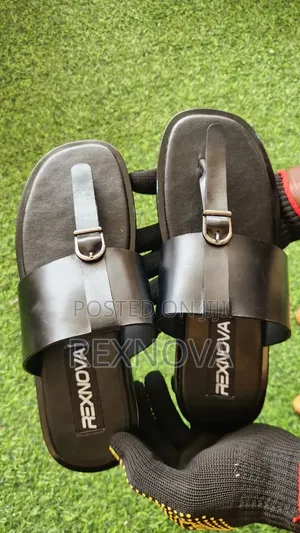 RexNova Baron (Black)