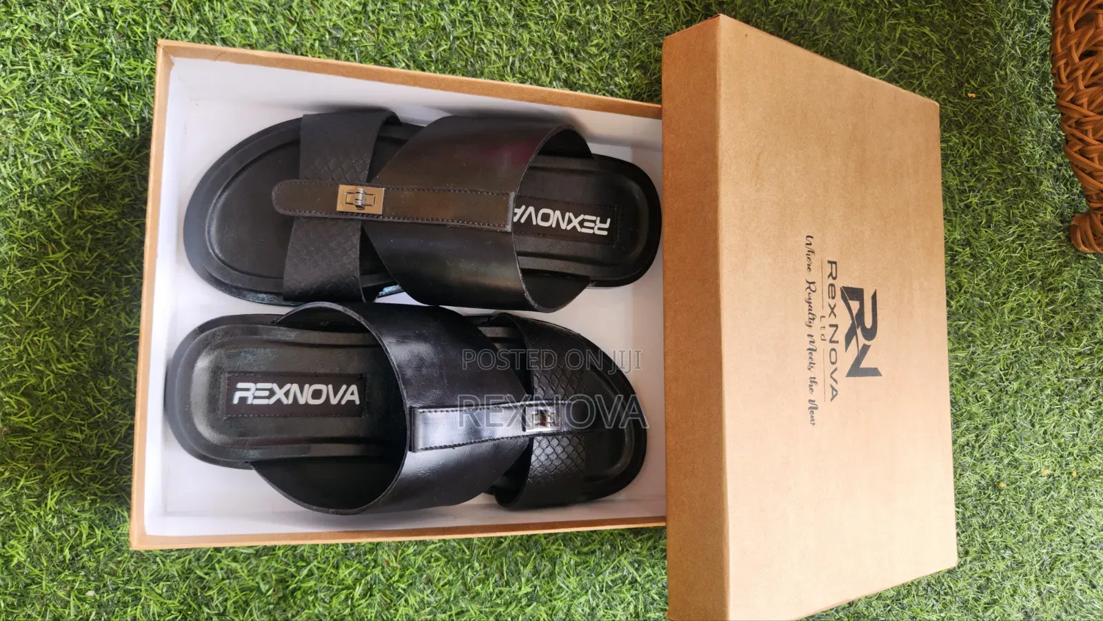 RexNova Prestige (Black)