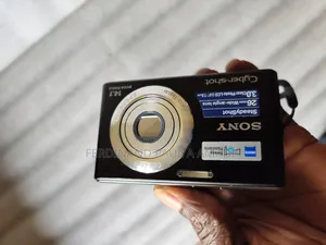 Sony Digital Photo Video Camera for Vintage Passport Snapping