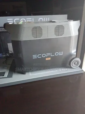 Ecoflow Inverter Generator