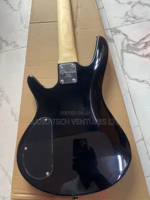 Fender Passive 5 Strings Bass