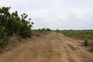 Farm Land for Sale Lease at Odagwa, Rivers State