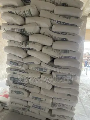 Lion Extra Blanc Pop Plaster