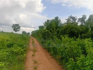 200 Acres of Fertile Farmland for Sale, Waasimi, Iseyin LGA, Oyo State