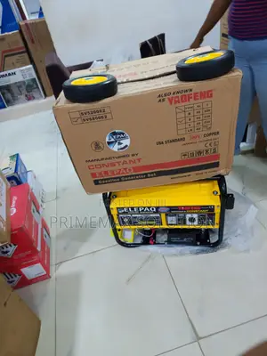 4.5KVA Starting Power That Never Lets You Down – Elepaq Constant