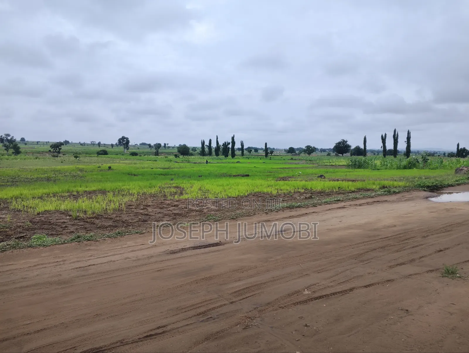 Residential Plot