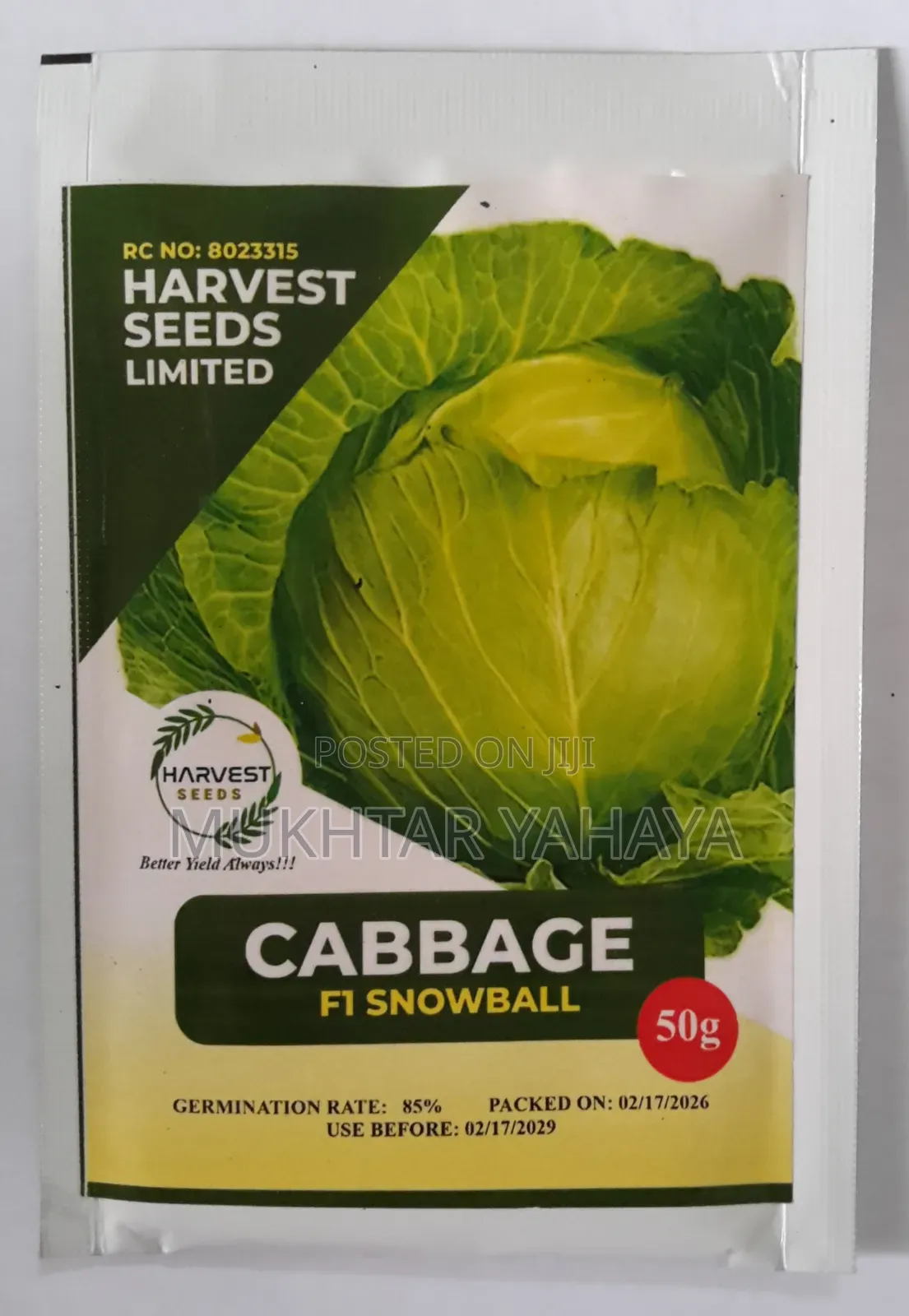 CABBAGE, Snow Ball F1