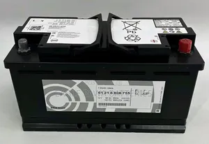 Original New BMW AGM Battery