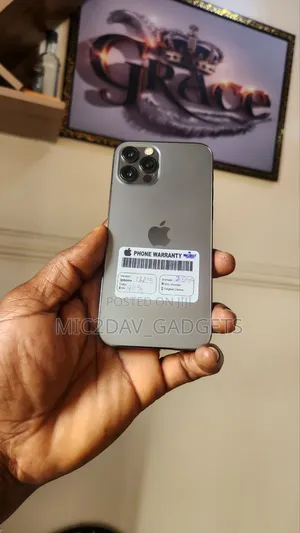 Apple iPhone 12 Pro 256 GB Gray
