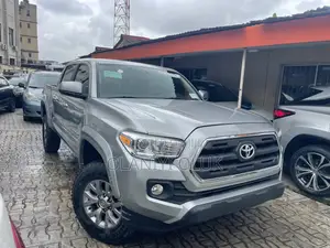 Toyota Tacoma 2017 Gray