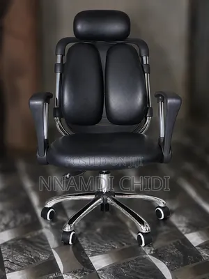 Executive Kidney Shaped Ergonomic Office Chair