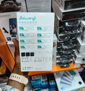 Baiwangli SX39 Wireless Microphone
