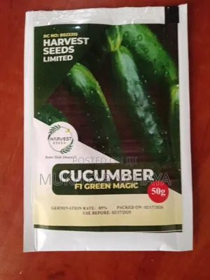 CUCCUMBER, Green Magic F1