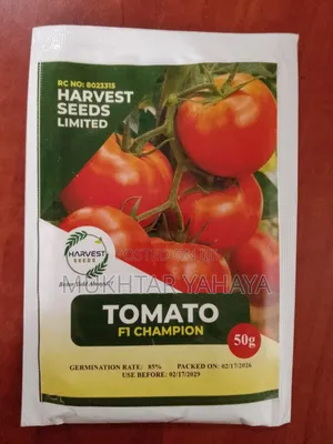 Tomato, Champion F1