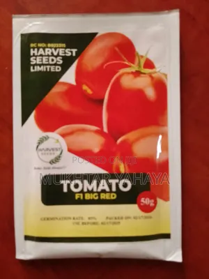 TOMATO, Big Red F1