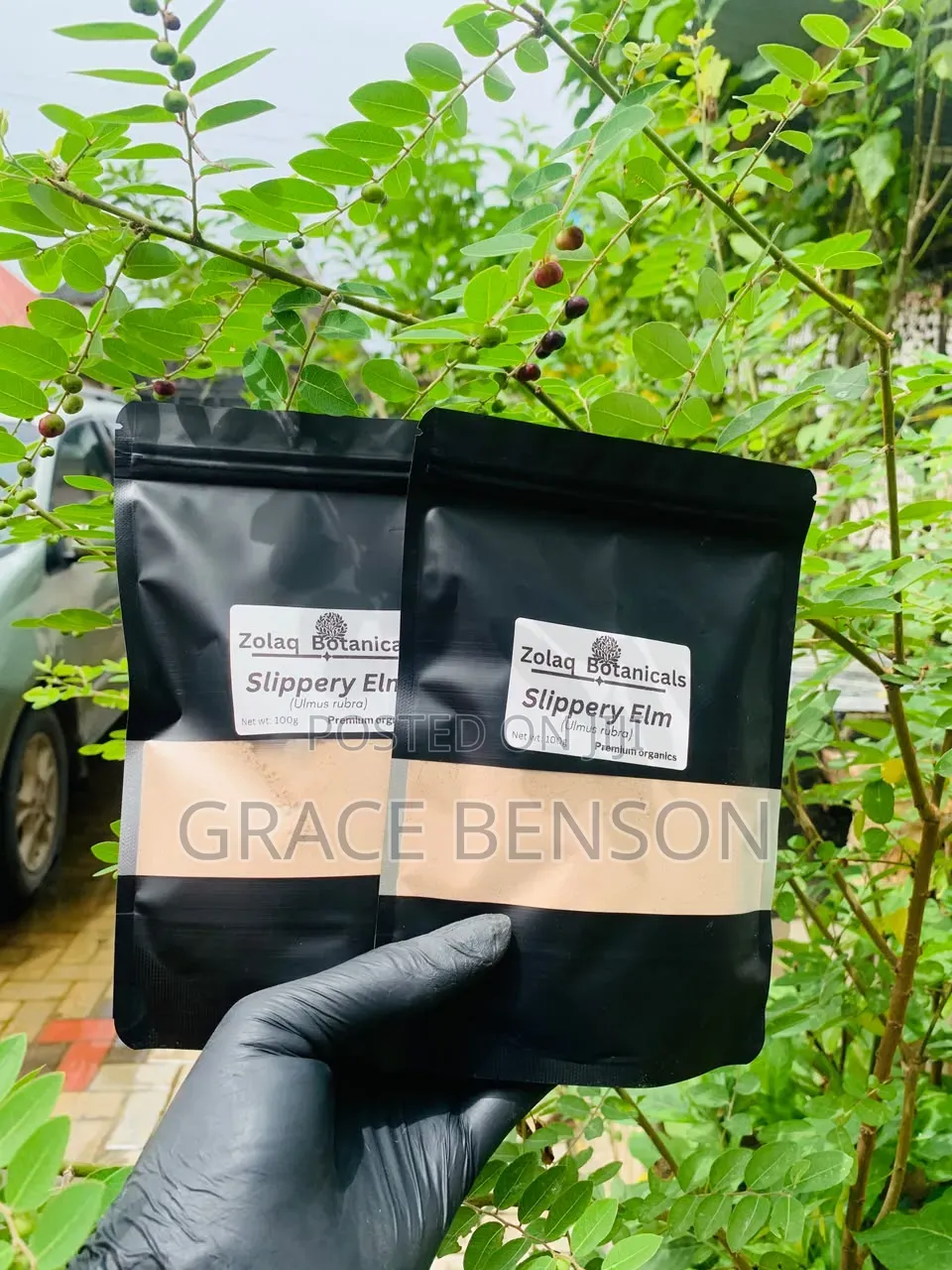 Slippery Elm Bark Powder