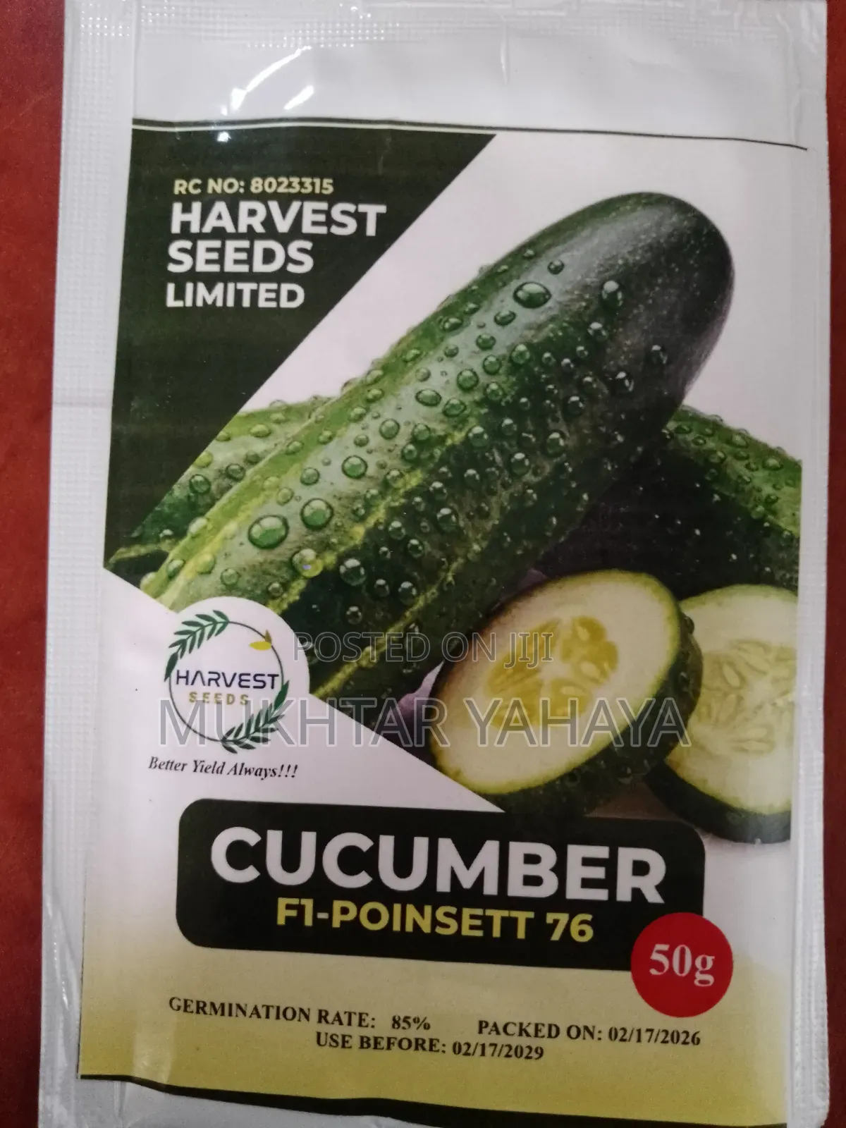Cuccumber, Pointsett 76