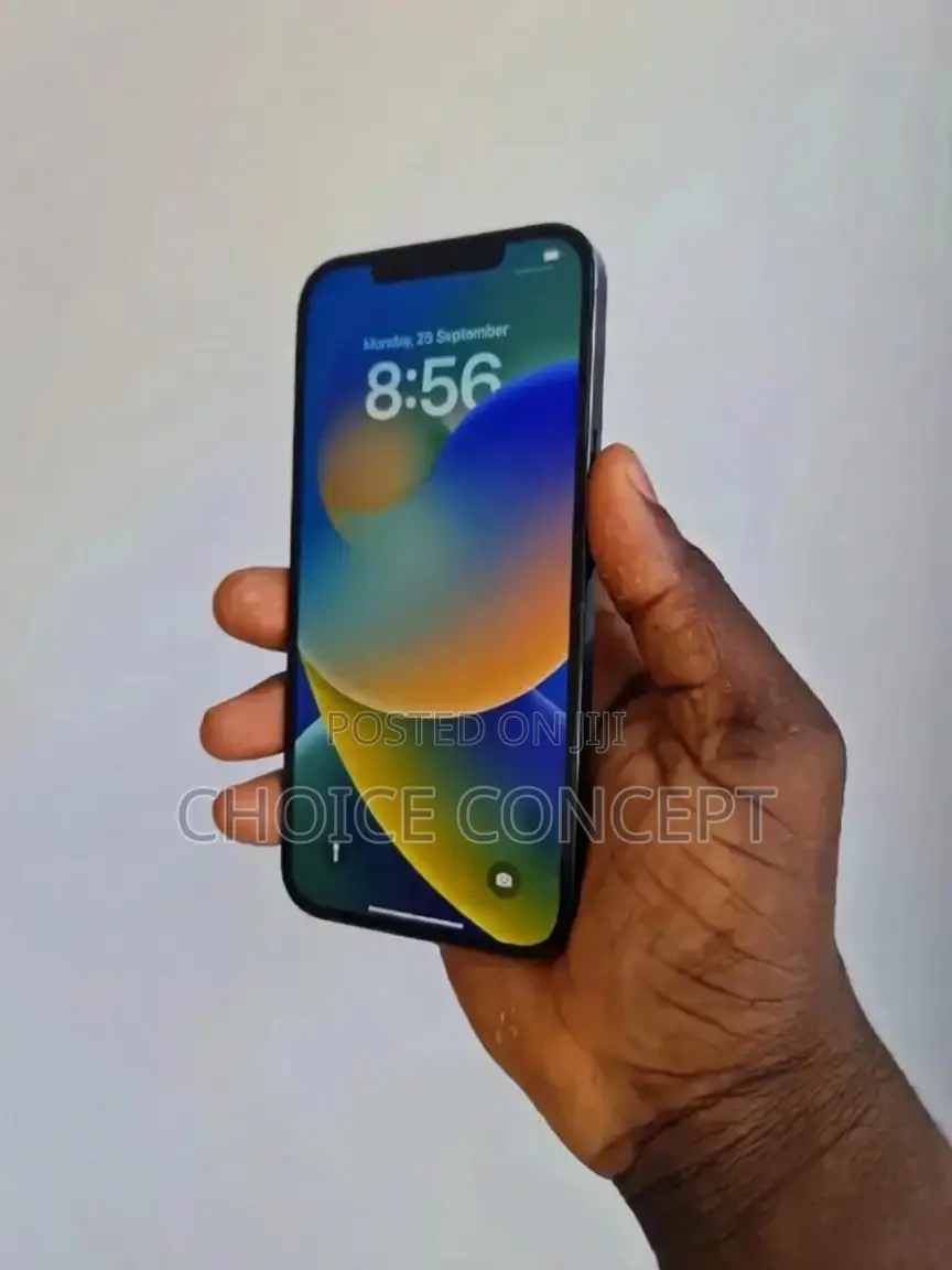 Apple iPhone 12 Pro Max 256 GB Blue