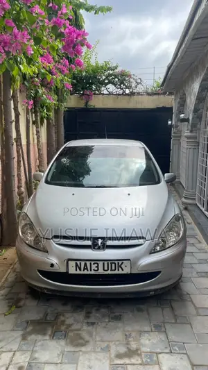 Peugeot 307 2005 Silver