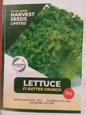 LETTUCE, Butter Crunch F1