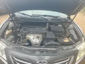 Toyota Camry LE 4dr Sedan (2.4L 4cyl 5A) 2007 Green