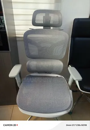 Mesh Ergonomic Swivel Chair