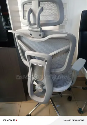 Mesh Ergonomic Swivel Chair