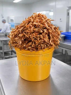 Miss Akpan, Lydia