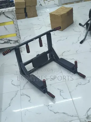 Wall Gym / Wall-Mounted Traine