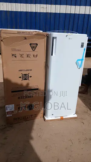 Original LG Standing Freezer for Ice Block