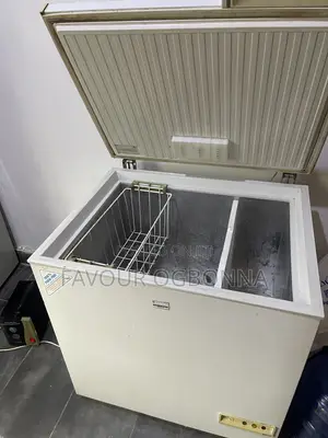 220L Philips German Used Deep Freezer