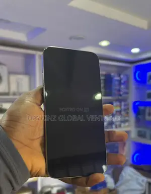 Apple iPhone 15 Pro Max 256 GB Graphite