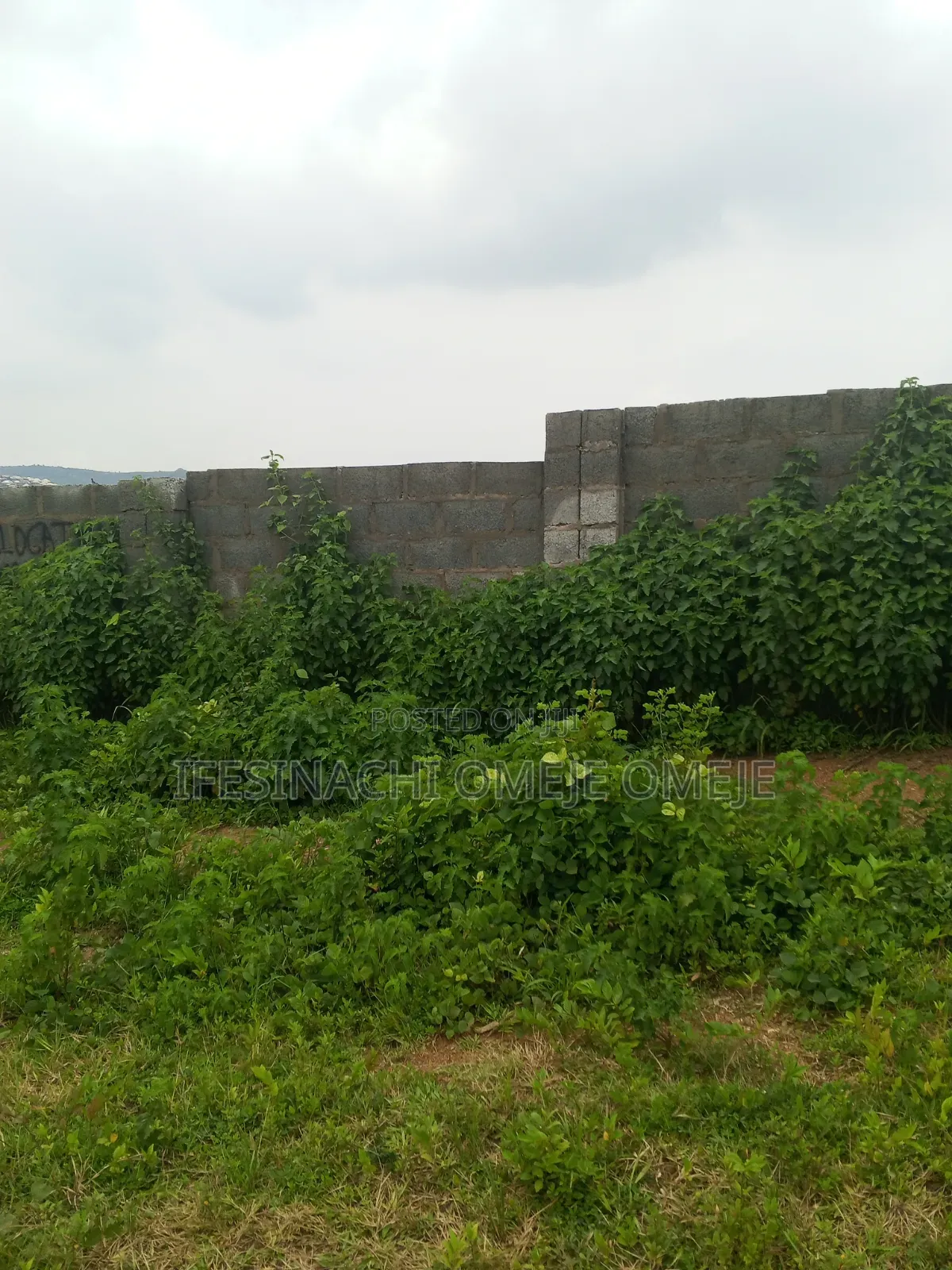 Fcda Plot for Sale in F01