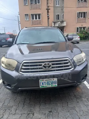 Lexus RX 2009 Gray
