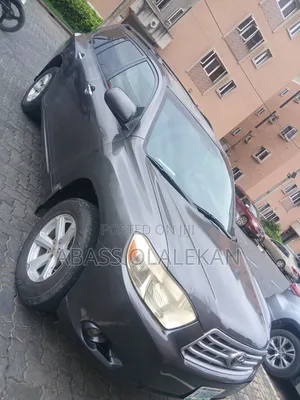 Lexus RX 2009 Gray