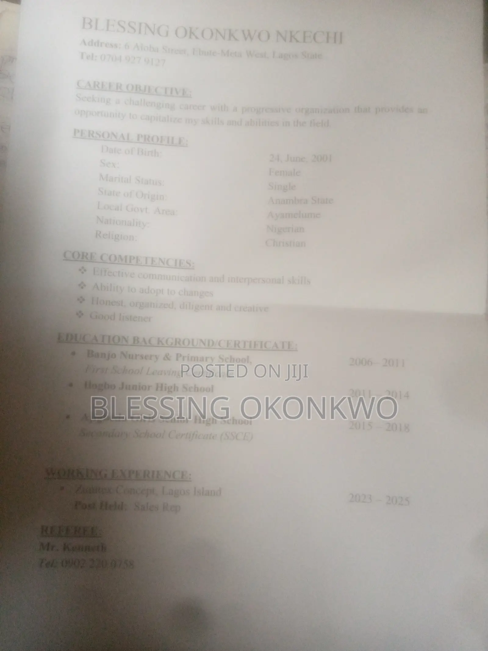 Housekeeping Cleaning CV