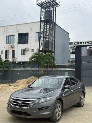 Honda Accord Crosstour EX-L AWD 2011 Gray