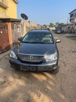 Lexus RX 2007 Gray