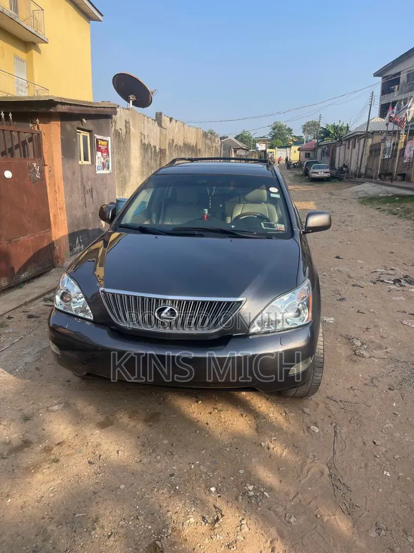 Lexus RX 2007 Gray